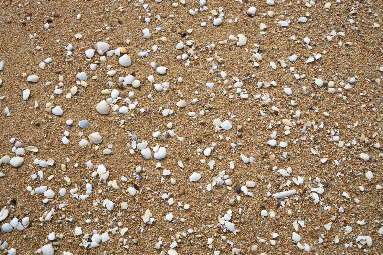 Apart@Costasantoandre Beach Santiago do Cacém Kültér fotó