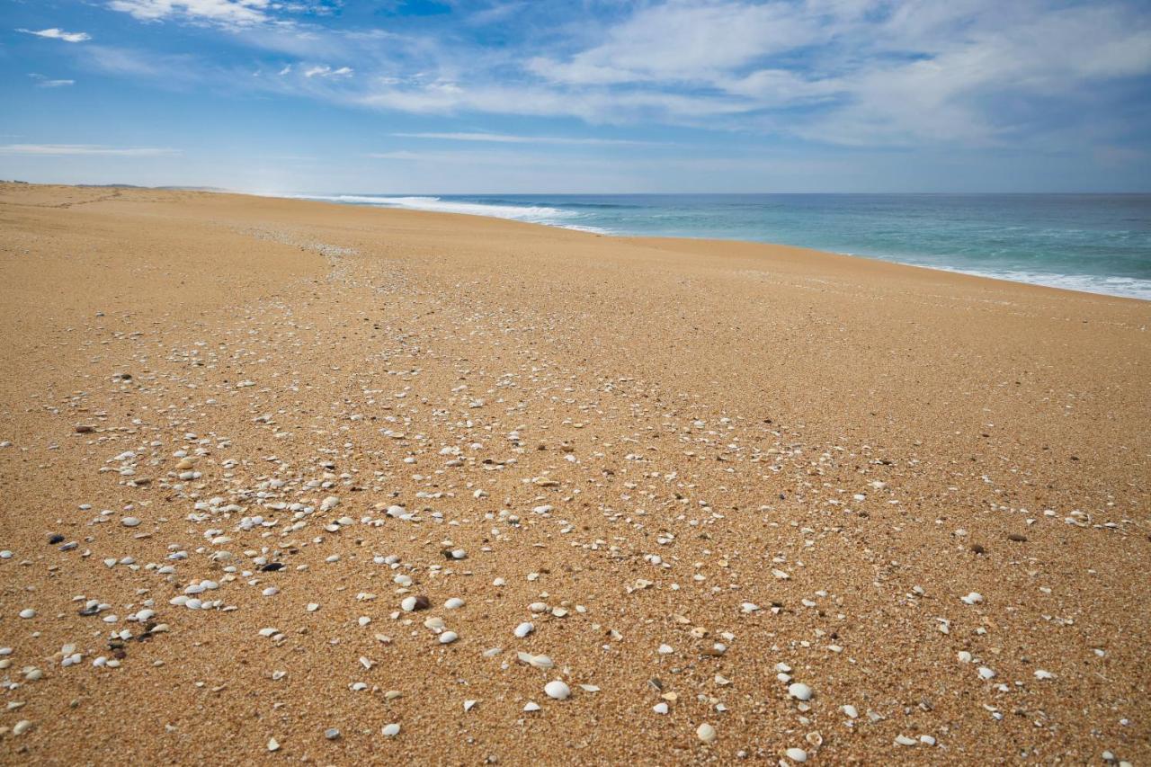 Apart@Costasantoandre Beach Santiago do Cacém Kültér fotó